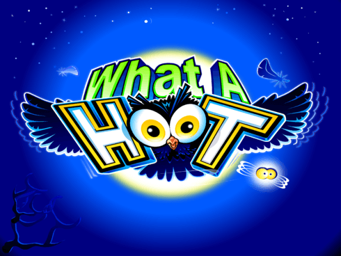 What A Hoot thumbnail